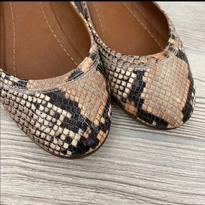 Frye snake print flats